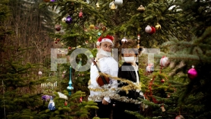 Mala tiha noćna muzika